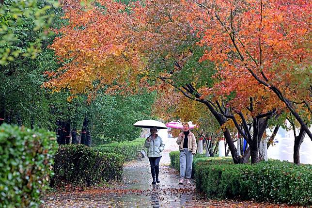 Pedestrians walk on a street in Zaozhuang, east China's Shandong Province, Nov. 25, 2024. (Photo by Sun Zhongzhe/Xinhua)