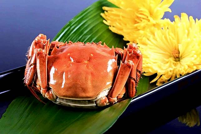 ▲「安吃蟹」曾擊敗大陸產大閘蟹 勇奪上海金蟹獎呢！（圖/奧丁丁市集）