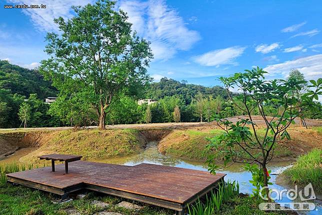 貢寮環保公園有落羽松及大面積草地，適合親子一起放電(圖/新北市政府　提供)