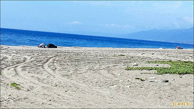 知本海灘有很多釣客吉普車在沙灘上留下車輪痕跡。(記者黃明堂攝)