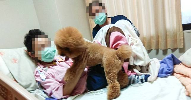 毛孩探視權1／女童喪母愛犬又被逼送養　探視不成還遭諷「忘恩負義」