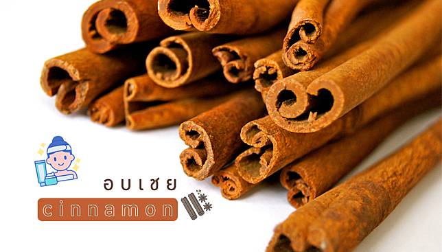 ประโยชน์ของอบเชยต่อผิว ทานก็ได้ ทาก็ดี | Cinnamon