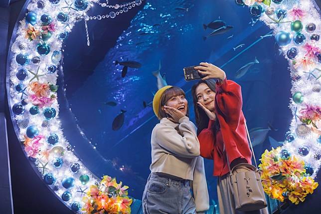 歡慶聖誕！沖繩DMM Kariyushi水族館打造夢幻打卡熱點！