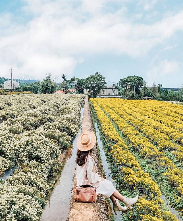 ▲圖片來源：IG@sharon_mylife813