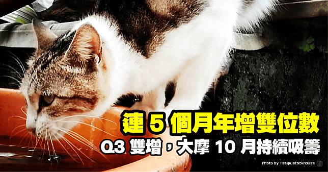 連 5 個月年增雙位數、Q3 雙增，大摩 10 月持續吸籌