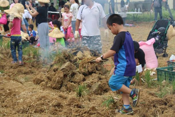  「農村樂焢窯」活動在地景藝術節主展區觀音區的廣福社區舉行，並使用的食材也是在地出產的地瓜、玉米，口感綿密，經過悶烘後更加香甜可口，為永生難忘的在地好味道！   圖 : 桃園市政府 / 提供 