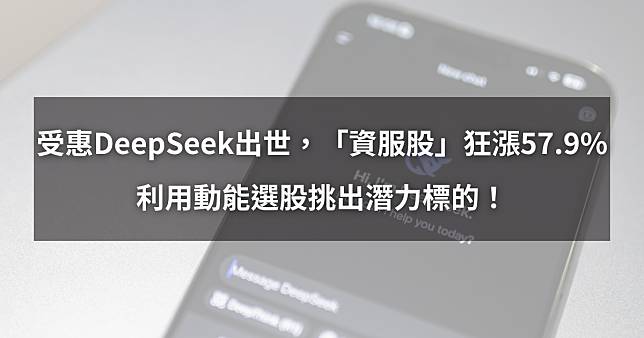 【個股分析】受惠DeepSeek出世，「資服股」狂漲57.9%。利用動能選股挑出潛力標的！