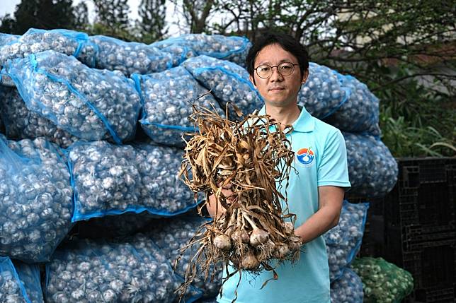 海口農糧生產合作社理事主席林煌智分析，國產蒜的市場版圖漸漸被進口攻陷。（攝影／楊語芸）