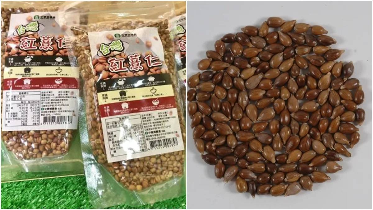 紅薏仁助中老年健康！降血糖、防肌肉流失 紅薏仁漿作法曝 | 健康2.0 | LINE TODAY