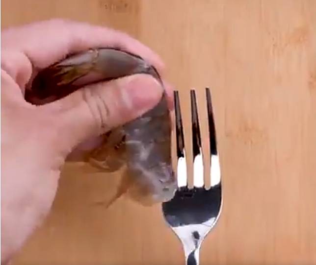 只要一隻叉即可幫生蝦脫殼。