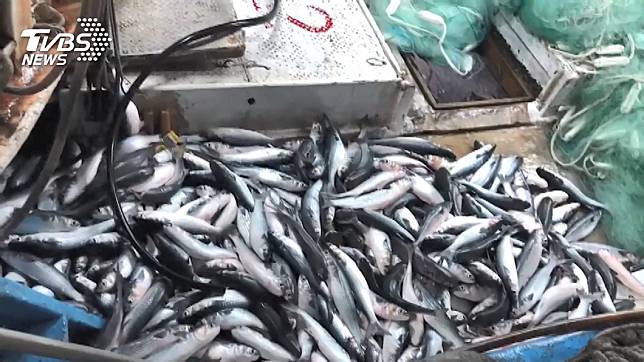 馬來西亞日前發生一起魚鉤勾破冷凍庫管子造成毒氣外洩的事件。(示意圖／TVBS)