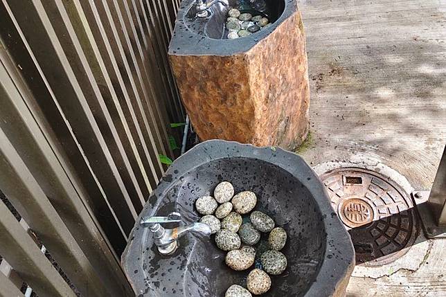 原PO好奇詢問，為什麼洗手池要放一些石頭？圖／翻攝自路上觀察學院臉書