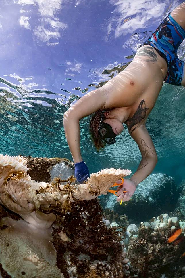 ทราย สก๊อต ทายาทสิงห์รุ่น 4 ดำน้ำ ดูปะการัง