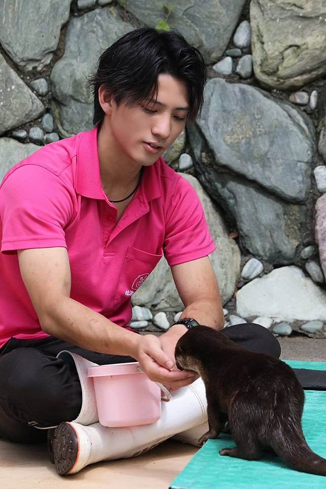 網友公認這位保育員比水獺吸睛。圖／桂濱水族館 X
