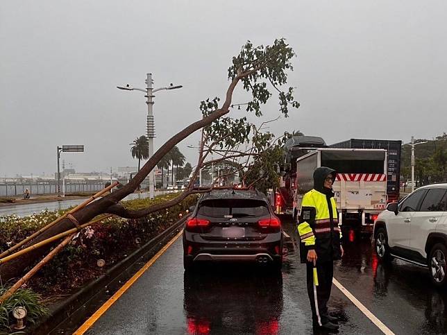 高雄市前鎮區中山四路近中安路中央分隔島的路樹突然倒塌，砸中一輛正在停等紅燈的計程車。（圖：前鎮警分局提供）