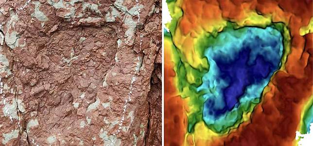 This combo photo provided by Xing Lida, an associate professor at the China University of Geosciences Beijing, shows a fossilized dinosaur footprint found in Qamdo, southwest China's Xizang Autonomous Region (L) and its 3D image. (Xinhua)