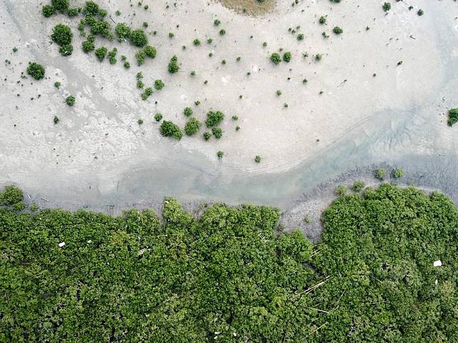 Aerial photo taken on Oct. 26, 2018 shows a mangrove conservation area in the Beihai Golden Bay in Beihai City, south China's Guangxi Zhuang Autonomous Region. (Xinhua/Wei Hai)