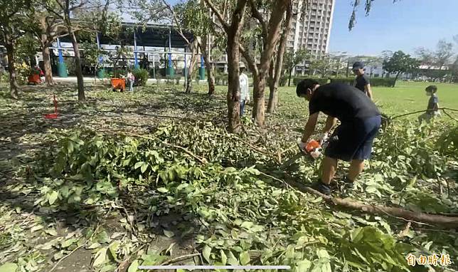 高市拚7日各學校正常上放學！127所學校斷樹持續清理中，還有小朋友陪教職父母一起投入救災行列。(記者黃良傑攝)