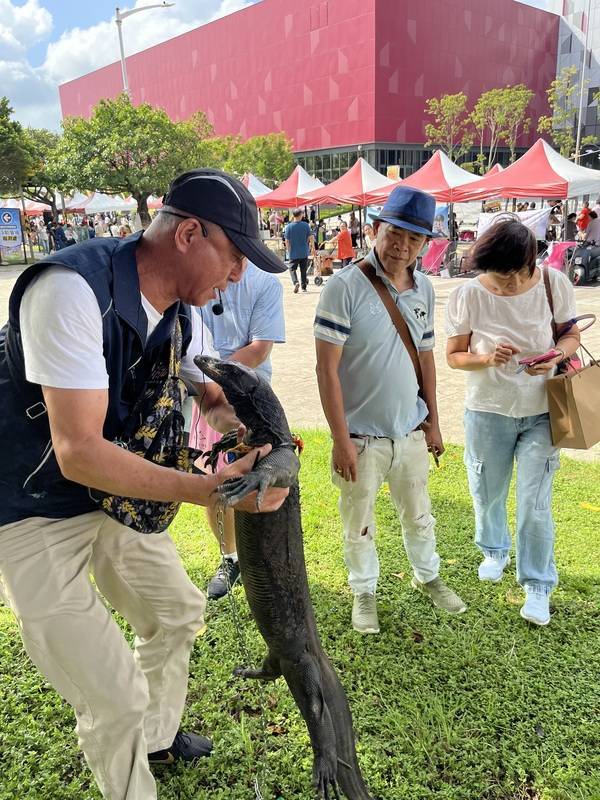 桃園市動物保護處28日在樂天桃園棒球場旁舉辦「非 犬貓特殊寵物」認養活動，工作人員現場介紹外型相 當吸睛的「黑澤巨蜥」，引來不少民眾關注。 中央社記者葉臻攝 113年9月28日