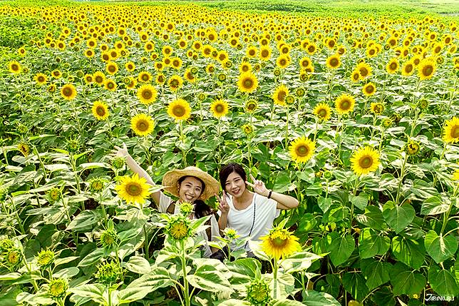 
<p>附近還有一個小教堂主題的咖啡館，您可以在那裡享用下午茶。</p><p>
＊外國遊客免費入場喔！</p><p>
</p><p>
<a href=