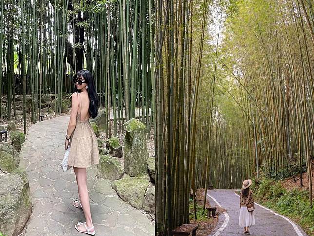 Taiwan Scenic Spots｜Bamboo Forest Hidden Gems Guide: Capture Stunning Bamboo Forests without Traveling to Arashiyama, Kyoto!