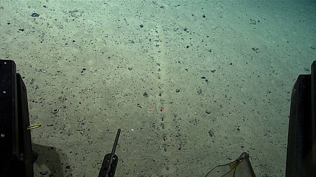 美國科學家於日前的海脊探索中，在大西洋海床處發現一排形似虛線，且整齊劃一的孔洞，尚不清楚是人為造成，或「某物」挖掘出來的。   圖：擷取自美國國家海洋暨大氣總署推特@oceanexplorer