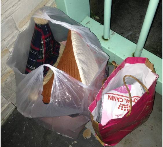 兩個袋子裝著貓跟寵物用品被丟棄至收容中心門口前面。（新北市動保處提供）