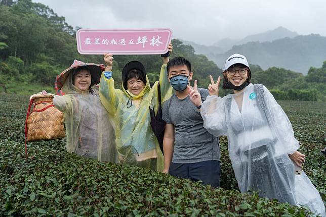 （坪林區公所提供）