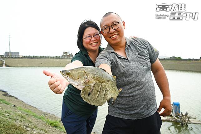 家族從事養殖金目鱸魚逾80年，葉芳及許懷聰夫妻倆對牠的習性已非常熟悉。(攝影/Carter)