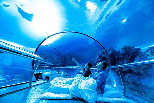 &nbsp; &nbsp; &nbsp;夜宿海底隧道看魟魚遊過眼前（圖片提供/Klook）<a href=