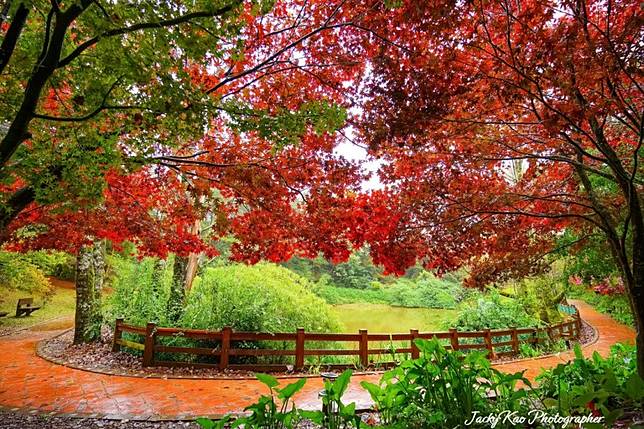 ▲圖片來源：IG@jackykao168