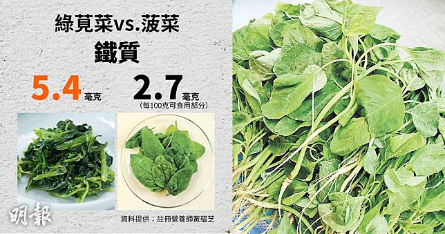 綠莧菜的鐵質含量高於菠菜。（資料圖片/明報製圖）