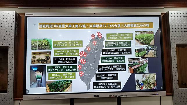 調查局近3年來查獲大麻工廠、煙草、植株數量。呂志明攝