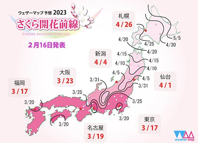 さくら開花前線的「開花予想第四回」