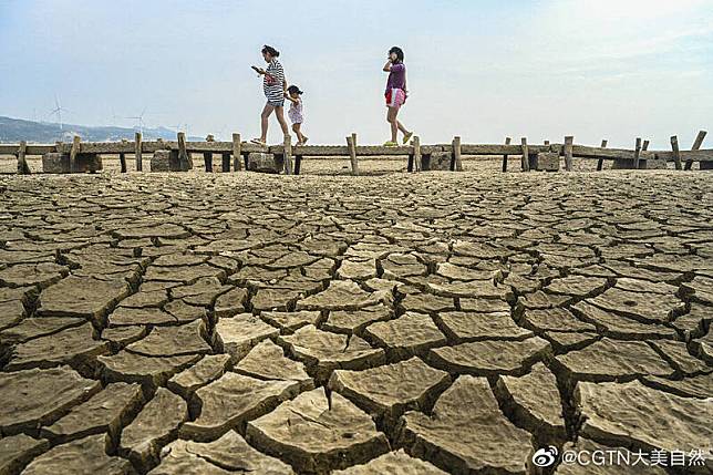 鄱陽湖乾旱見底，明代「千眼橋」露出。(圖擷取自微博畫面)