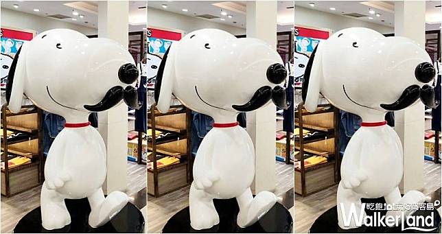 PEANUTS 中和店 / WalkerLand窩客島整理提供 未經許可，不得轉載