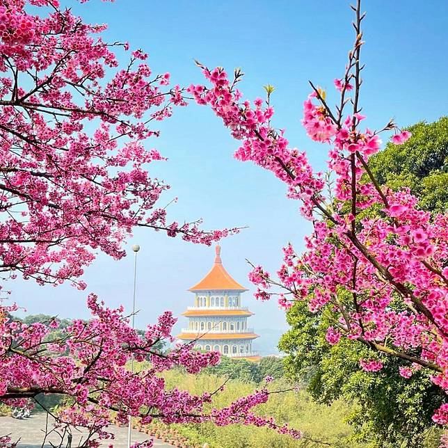 （圖片來源/IG-<a href=