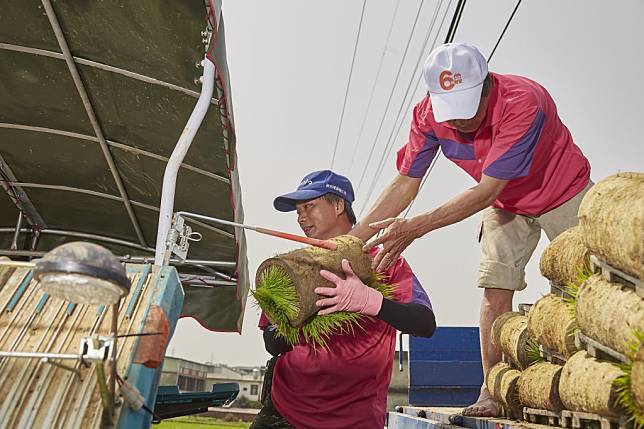 新竹市二期稻作好香米推十二月新米上市，新竹市政府與新竹市農會合作舉辦「送米送到心坎禮」網路抽獎活動。(記者曾芳蘭攝)