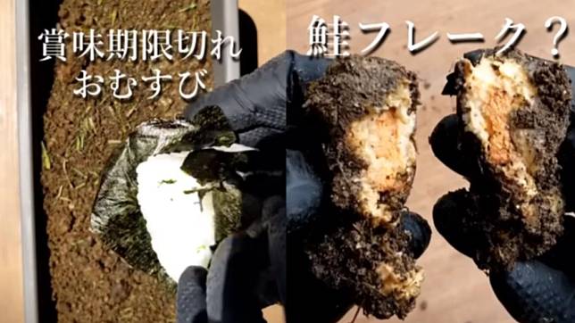 日本一位YouTuber將鮭魚飯糰埋入土中，實驗經過1個月微生物分解後，飯糰會呈現什麼狀況。（圖／翻攝自つりきっぷYT頻道）