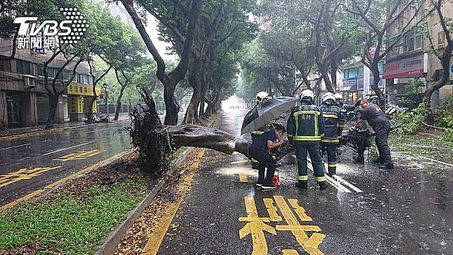 北市強降雨釀災，位於重慶南路三段的路樹倒塌。（圖／TVBS）