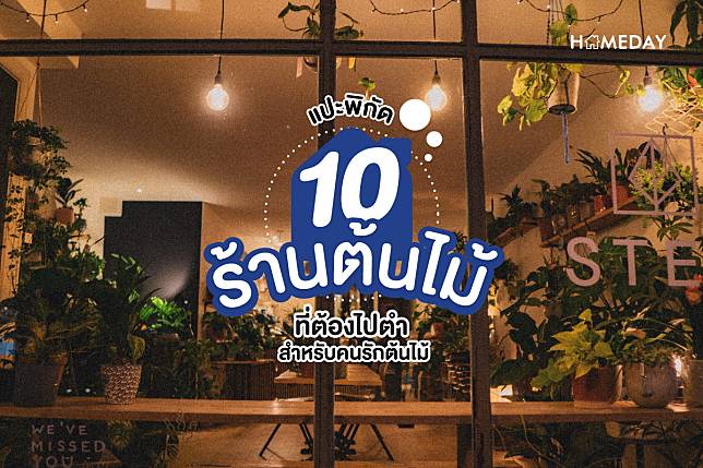 แปะพิกัด 10 ร้านต้นไม้ ที่ต้องไปตำ สำหรับคนรักต้นไม้