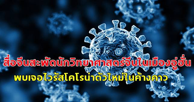 สื่อจีนสะพัดนักวิทยาศาสตร์จีนในเมืองอู่ฮั่น พบเจอไวรัสโคโรน่าตัวใหม่ในค้างคาว ติดจากสัตว์สู่คนได้เหมือนโรคโควิด-19