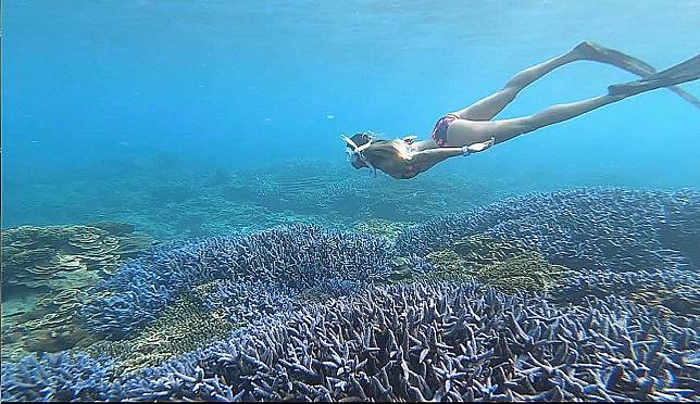 澎湖浮潛推薦-澎湖南方四島薰衣草森林