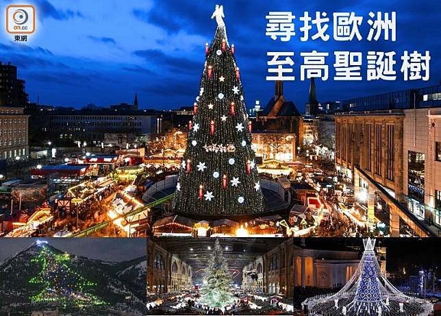 尋找歐洲至高聖誕樹！（互聯網）