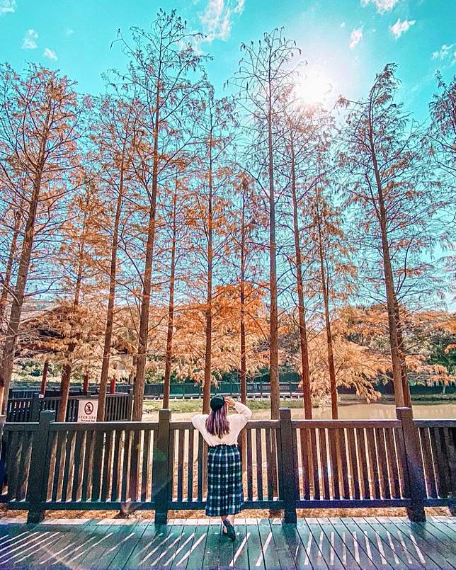 照片來源：IG @gominkin