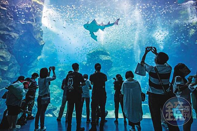 一踏進Xpark，會看到挑高8公尺、寬12公尺的露天大水槽，內有超過6,000隻銀鱗鯧漫游。