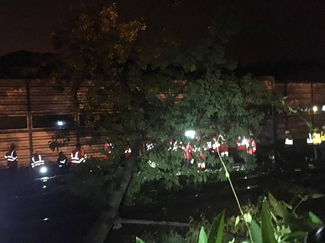 塌樹令東鐵綫大埔墟站至大學站之間的架空電䌫損壞。(市民提供)