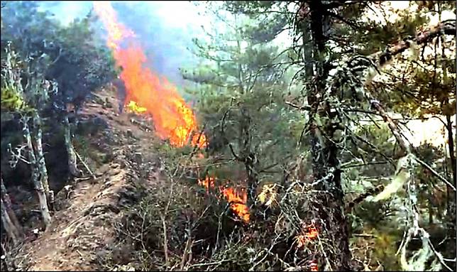 八通關古道杜鵑營地附近16日凌晨發生森林大火，截至昨天延燒面積64公頃，燒了6天尚未撲滅。(嘉義林管處提供)