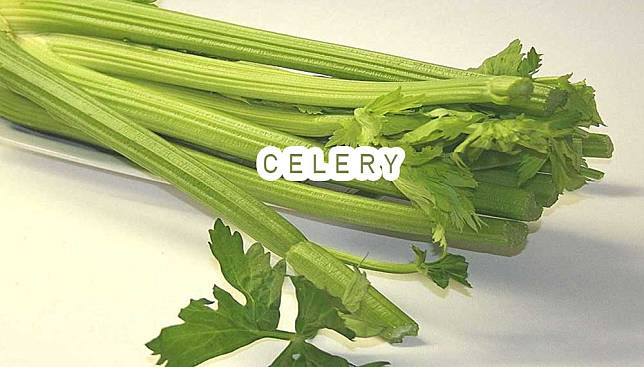 ประโยชน์ของขึ้นฉ่ายฝรั่ง ( Celery ) | กินดี มีประโยชน์