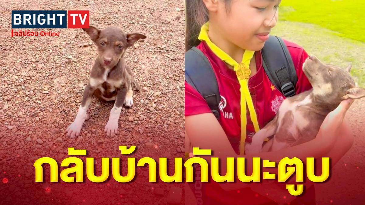 น่ารักจนใจเจ็บ! ทาสหมาในคราบนักเรียน อุ้มหมาจรอวดทั้งซอยก่อนเอากลับบ้านไปเลี้ยง | BRIGHTTV.CO.TH | LINE TODAY